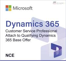 Dynamics 365 Customer Service Professional (NCE)