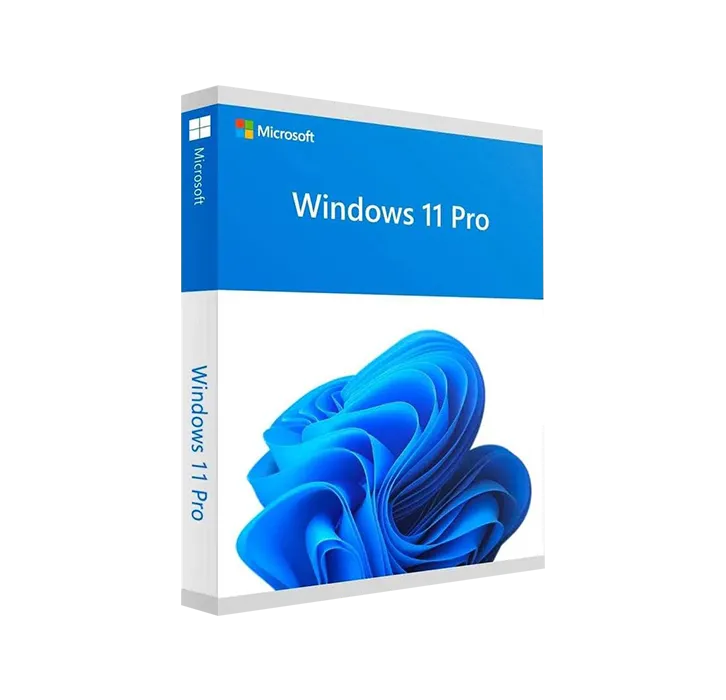 Windows 11 Pro
